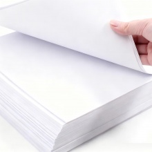 天章 （TANGO）新绿天章A4打印纸 70g 500张*5包 双面打印复印纸 纸张洁白顺滑不卡纸 整箱2500张【匠心品质款】